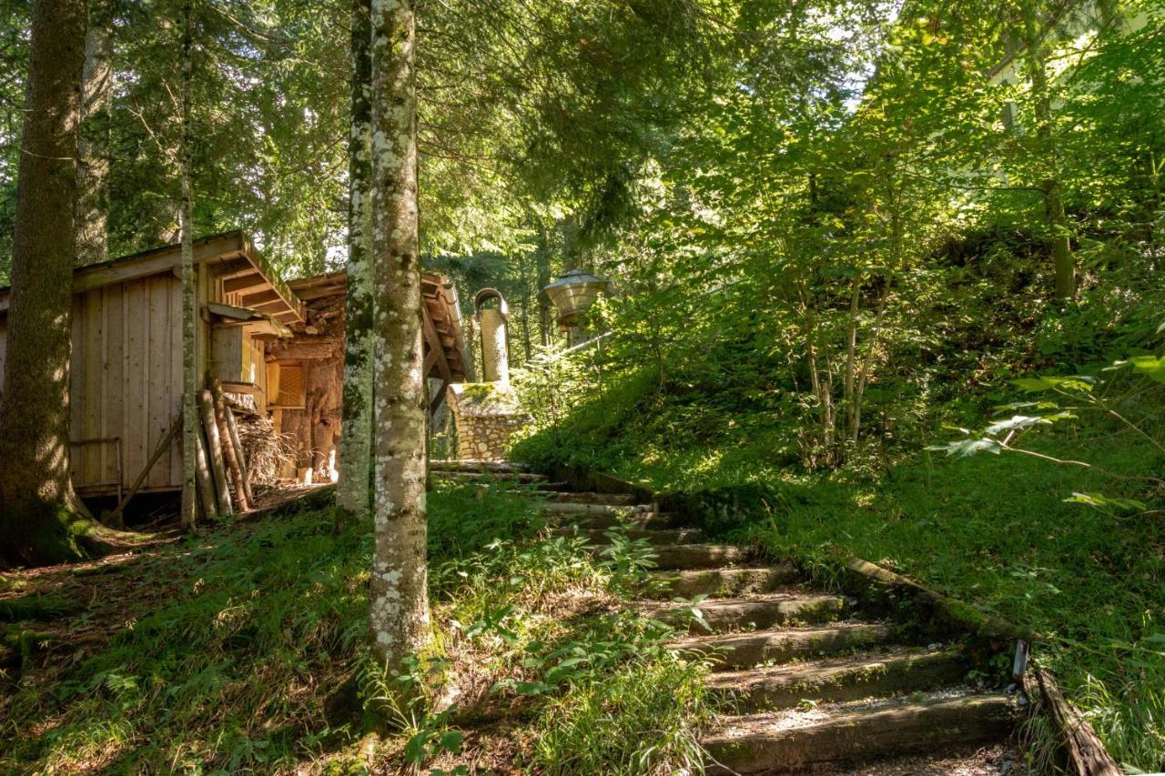 Ferienhaus Schetteregg Buitenkant foto