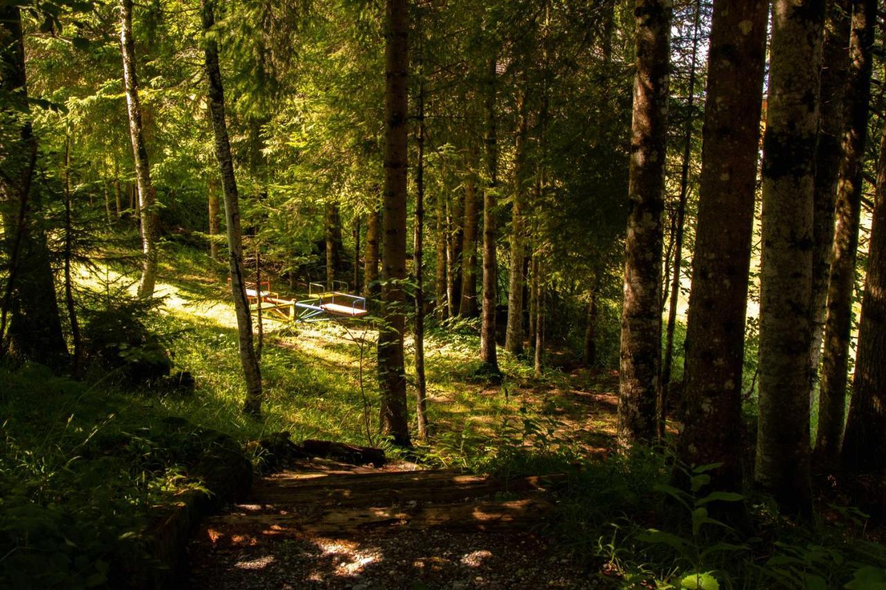 Ferienhaus Schetteregg Buitenkant foto