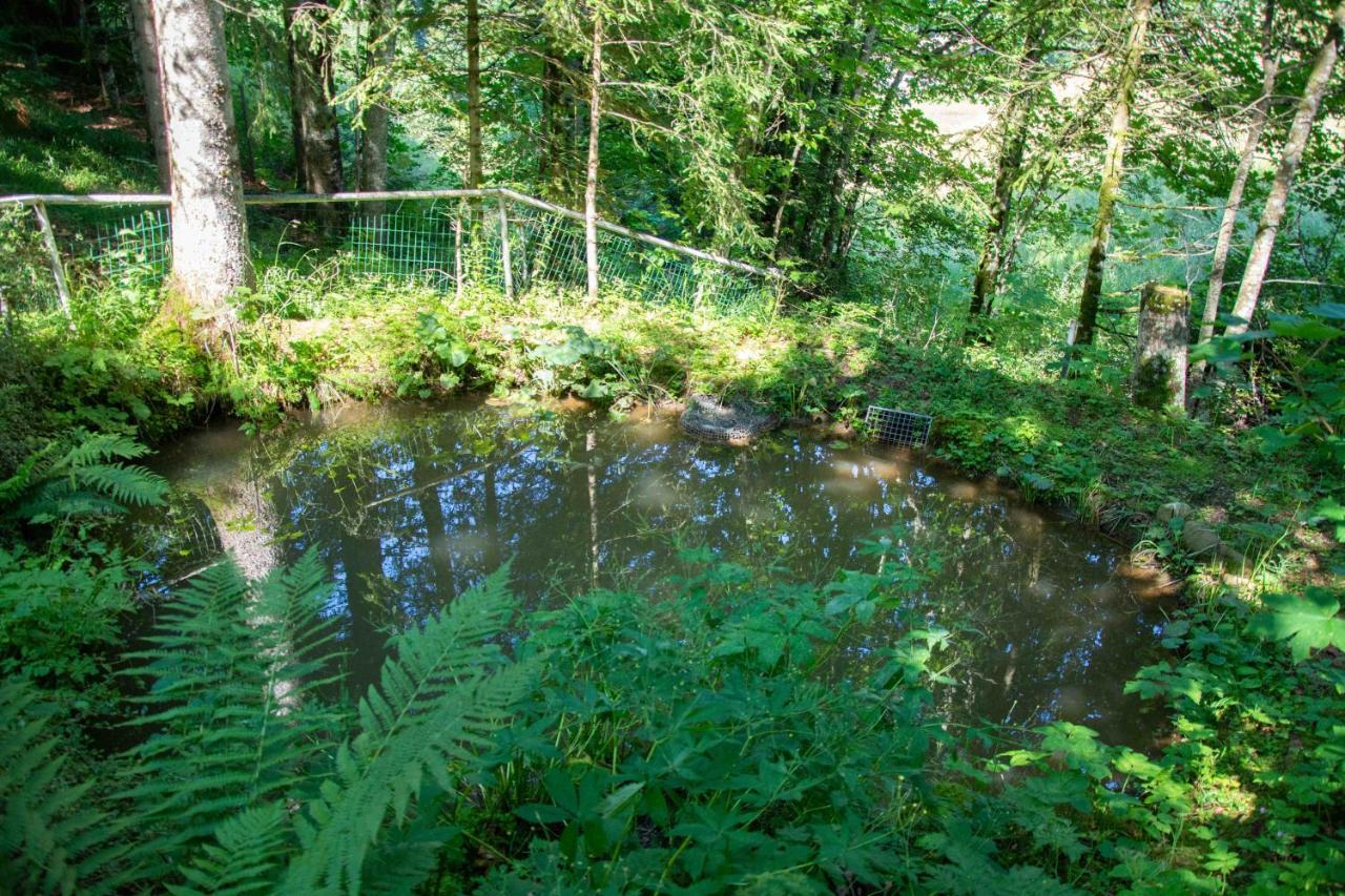 Ferienhaus Schetteregg Buitenkant foto